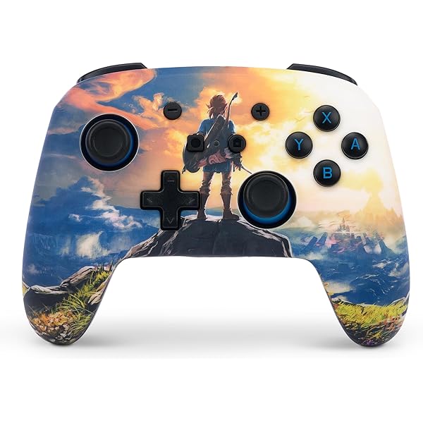 Amazon.com: PowerA Enhanced Wired Controller for Nintendo Switch